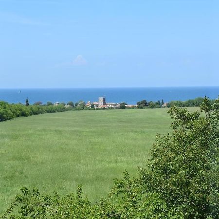 Apartmani Ritosa Novigrad Istria 外观 照片