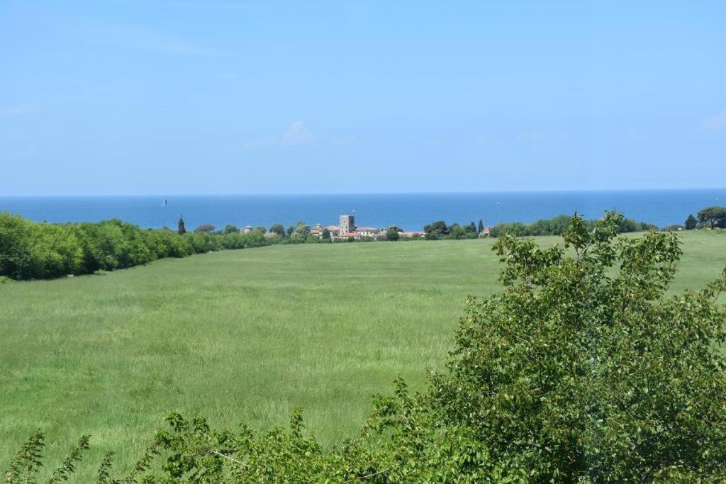 Apartmani Ritosa Novigrad Istria 外观 照片