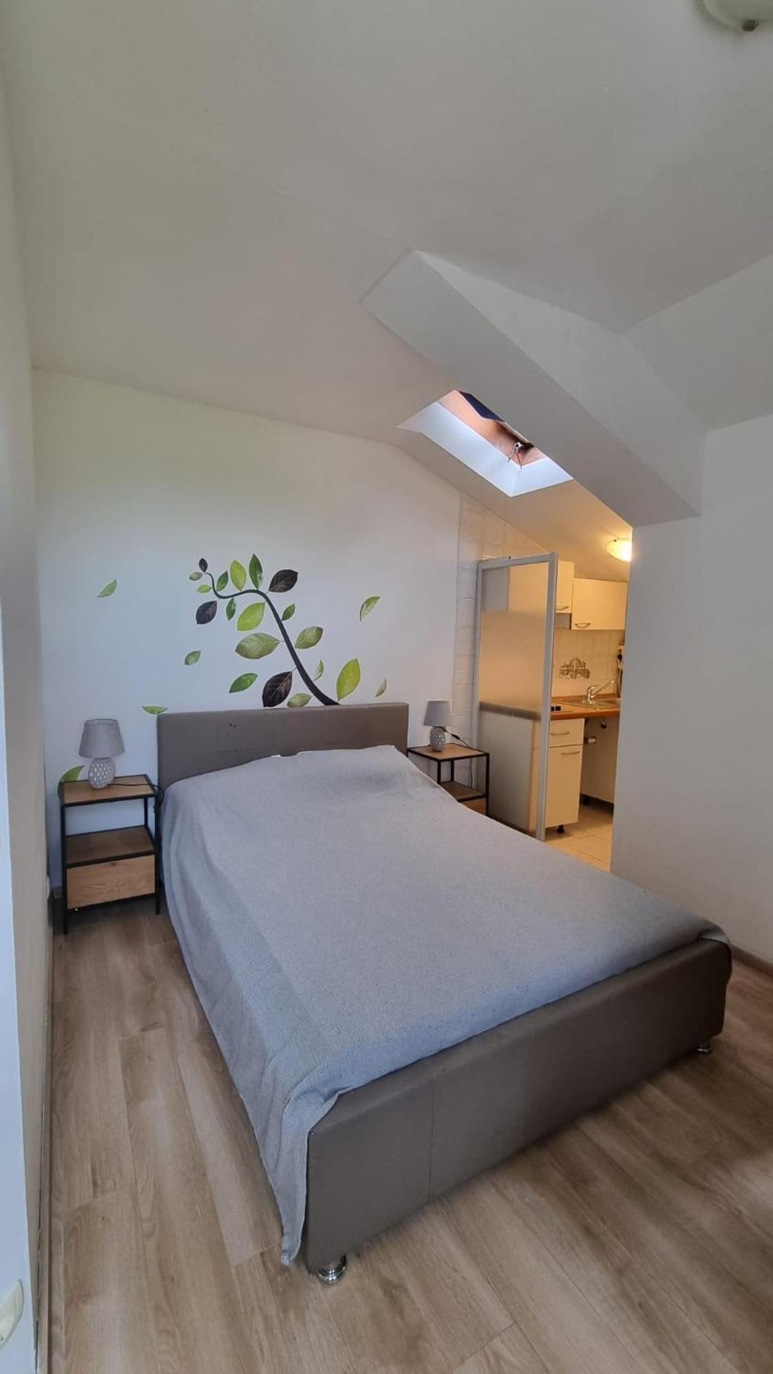Apartmani Ritosa Novigrad Istria 外观 照片